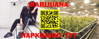 сатива Абакан