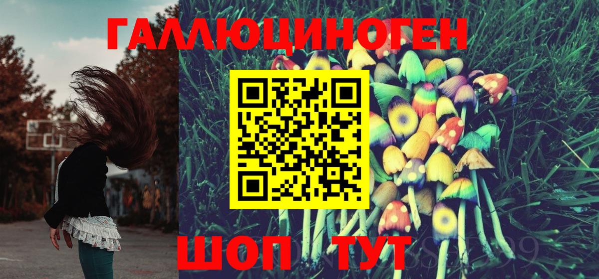 Галлюциногенные грибы Magic Shrooms  Карасук  Галлюциногенные грибы MAGIC MUSHROOMS 