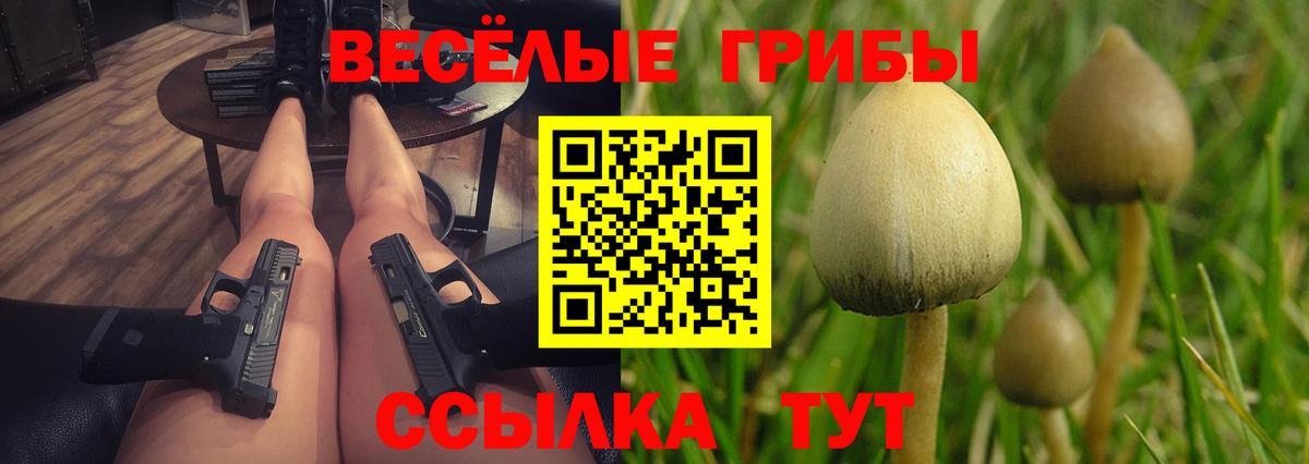 Галлюциногенные грибы GOLDEN TEACHER Карасук